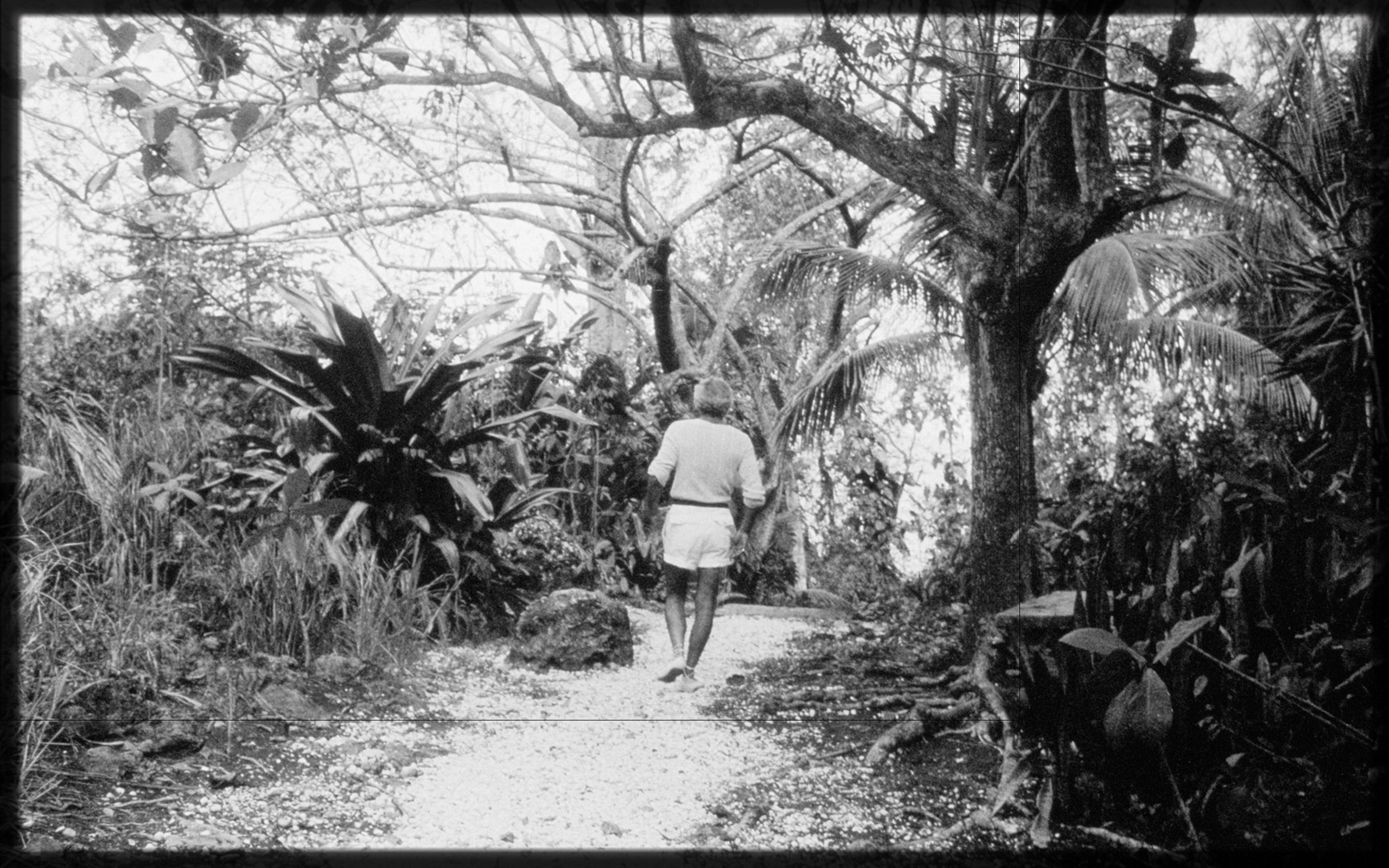 The view from White Orchid, Ralph Lauren’s oceanside cottage in Round Hill, Jamaica